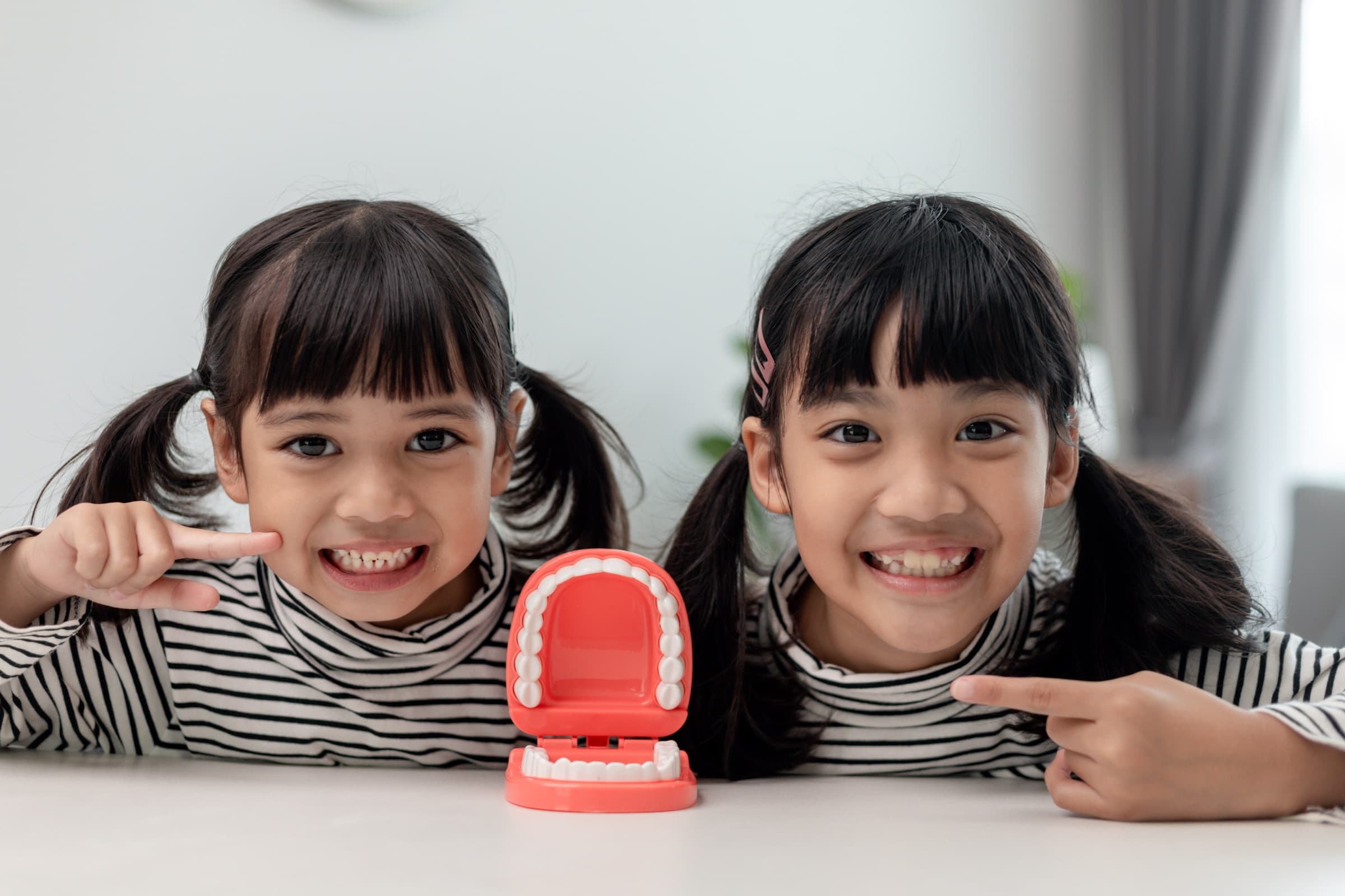 Two young sisters pointing at their teeth beside a model of a set of teeth